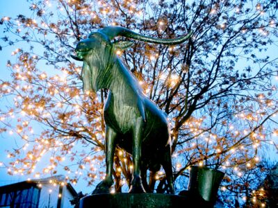 Die Weinstadt Deidesheim Be-Greifen