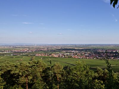 Die Weinstadt Deidesheim Be-Greifen