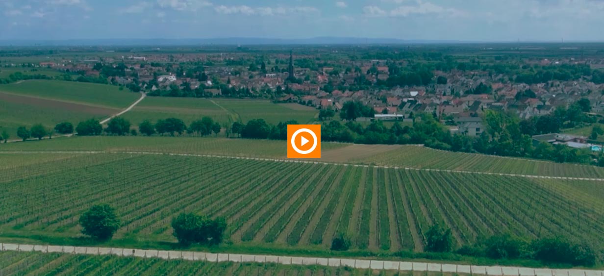 Direktlink - Imagefilm Urlaubsregion Deidesheim ...